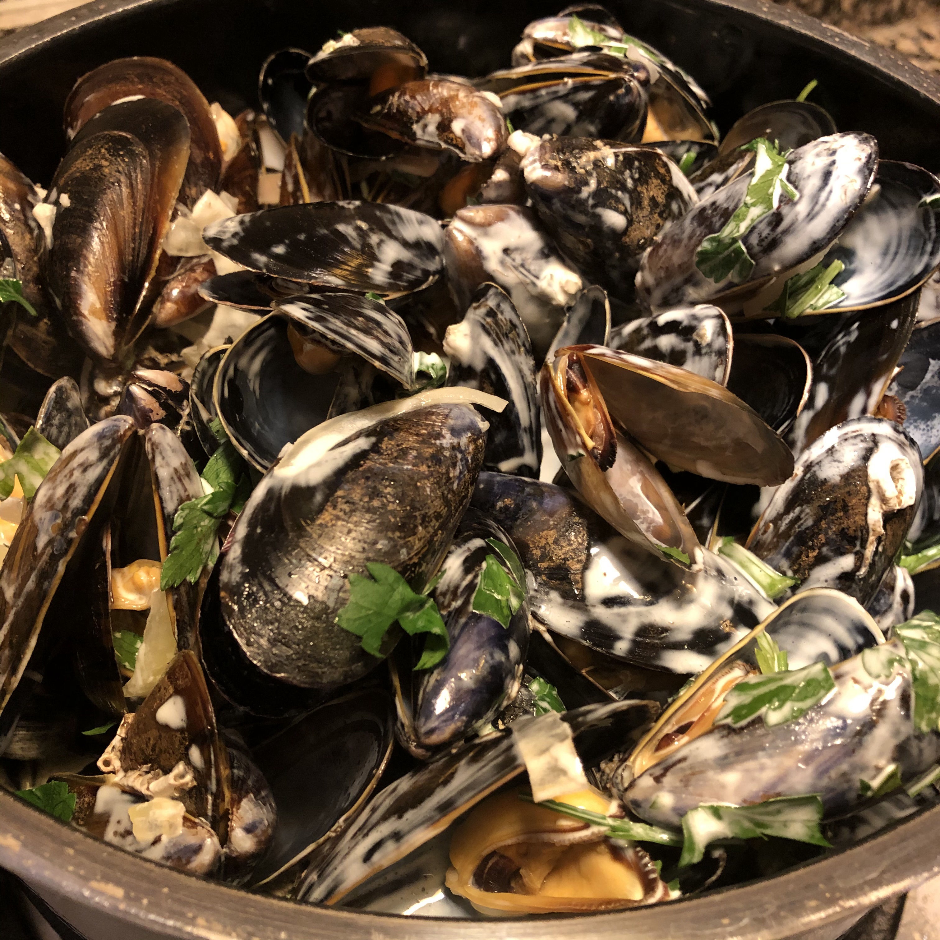 Moules Marine | LYVVT